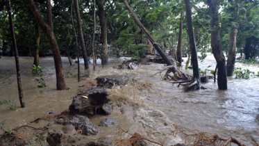 পটুয়াখালীতে বেরীবাঁধের ৩২ পয়েন্টে ভাঙ্গন, ব্যাপক ক্ষতি