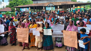 শনিবারের অপেক্ষায় চা শ্রমিকরা, চলছে কর্মবিরতি