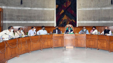 পরিকল্পনা স্বাস্থ্যের স্থায়ী কমিটিতে উপস্থাপনের পরামর্শ