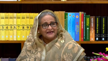 ‘কোনো পণ্য রফতানি বন্ধের আগে বার্তা দেবে ভারত’
