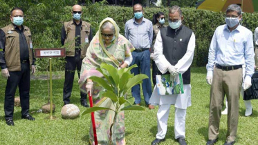 এক কোটি বৃক্ষরোপণ কর্মসূচির উদ্বোধন করলেন প্রধানমন্ত্রী