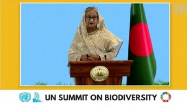 জলবায়ু পরিবর্তন মোকাবেলায় প্রধানমন্ত্রীর চার প্রস্তাব