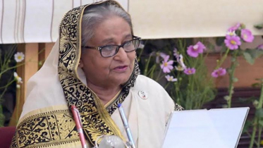 ‘বহুমূল্যেই বাঙালির প্রতিটি অর্জন, সেধে কেউ কিছু দেয়নি’