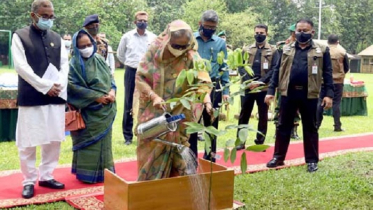 জাতীয় বৃক্ষরোপণ অভিযান উদ্বোধন প্রধানমন্ত্রীর
