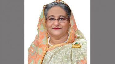 যেখানে যতটুকু জায়গা পান গাছ লাগান: প্রধানমন্ত্রী