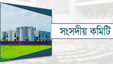 পৌরসভার উপদেষ্টা হতে চান সংসদ সদস্যরা