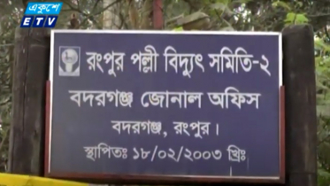 ভরা মৌসুমে বিদ্যুৎ লাইন কেটে দেয়ায় বিপাকে কৃষক (ভিডিও)