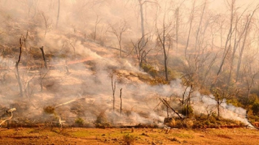 ক্যালিফোর্ণিয়ায় দাবনল, হাজার হাজার লোককে সরে যাওয়ার নির্দেশ