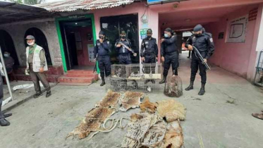 চন্দ্রমহল ইকোপার্ক থেকে বন্যপ্রাণী ও হরিণের চামড়া উদ্ধার 