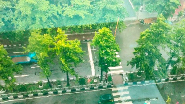 বৃষ্টিপাতের প্রবণতা বৃদ্ধি