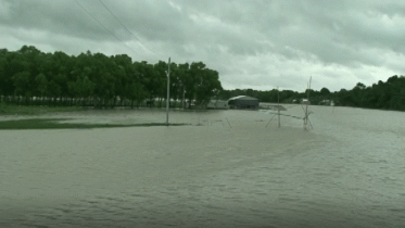 রাজবাড়ীতে পদ্মার পানি বিপদ সীমার উপরে,নিন্মাঞ্চল প্লাবিত