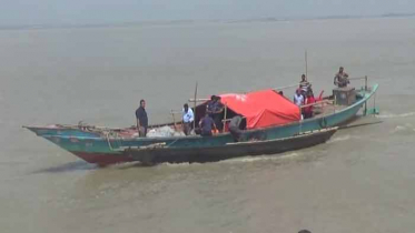 রাজবাড়ীতে ইলিশের প্রজনন বাড়াতে প্রশাসনের নানা পদক্ষেপ
