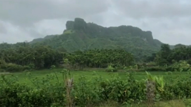 রামুতে বন্য হাতির আক্রমণে মা-মেয়ে নিহত