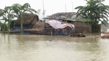 ব্রহ্মপুত্র ধরলা দুধকুমার ও তিস্তায় পানি বৃদ্ধি অব্যাহত