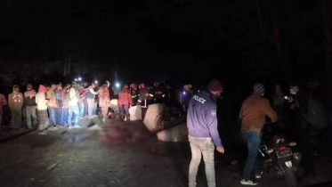 ঝিনাইদহে ট্রাকচাপায় ৬ নসিমনযাত্রী নিহত, আহত ৪