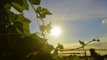কোথাও কোথাও বৃষ্টির পূর্বাভাস, অব্যাহত থাকবে তাপপ্রবাহ কোথাও কোথাও বৃষ্টির পূর্বাভাস, অব্যাহত থাকবে তাপপ্রবাহ