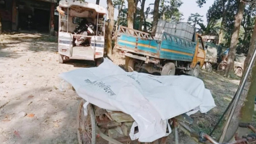 ধামরাইয়ে বাসচাপায় স্বামী-স্ত্রী নিহত