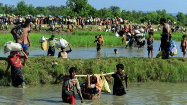 রোহিঙ্গা গণহত্যা মামলা লড়াইয়ে ৫ লাখ ডলার দিল বাংলাদেশ 