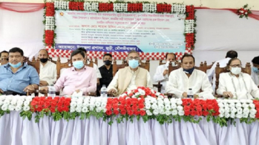 প্রধানমন্ত্রী শেখ হাসিনা বিশ্বে উন্নয়নের রোল মডেল: পরিবেশ মন্ত্রী