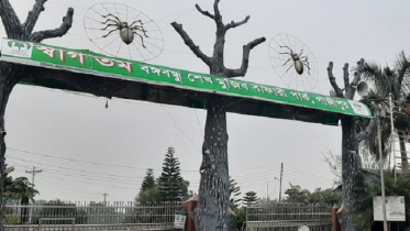 ১৩ প্রাণীর মৃত্যুর ঘটনায় ১৮ পৃষ্ঠার তদন্ত প্রতিবেদন জমা