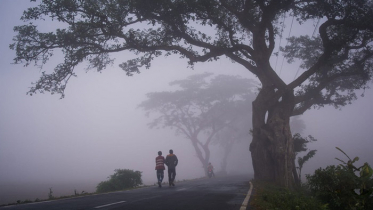 মাঘের শীতে কাঁপছে দেশ