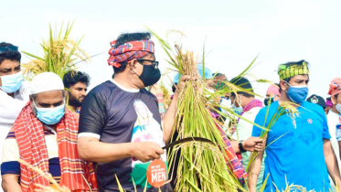 কৃষকের ৬ বিঘা জমির ধান কেটে দিল স্বেচ্ছাসেবক লীগ