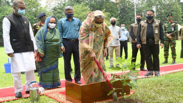 বৃক্ষরোপণে প্রধানমন্ত্রীর পুরস্কার পাচ্ছে ২৩ ব্যক্তি-প্রতিষ্ঠান