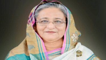 মুজিববর্ষে কোটি চারা রোপণের উদ্বোধন করবেন প্রধানমন্ত্রী