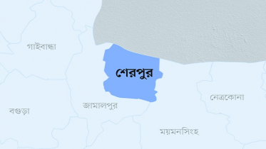 শেরপুরে গর্তের পানিতে ডুবে শিশুর মৃত্যু