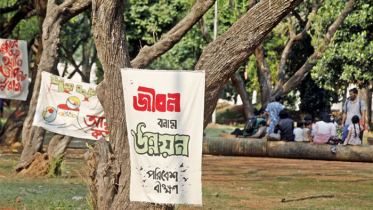 সোহরাওয়ার্দীর গাছ কাটা নিয়ে সংবাদ সম্মেলন আজ