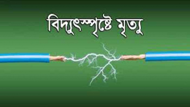 দামুড়হুদায় বিদ্যুৎস্পৃষ্টে গৃহবধূর মৃত্যু