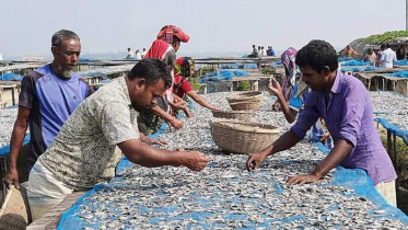 দুবলার শুটকিতে রাজস্বের লক্ষ্যমাত্রা ৩ কোটি ২২ লাখ টাকা