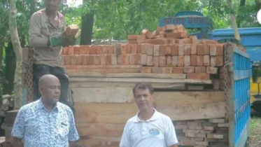 অভিনব কায়দায় পাচারের সময় ৬ লাখ টাকার চোরাই কাঠ আটক
