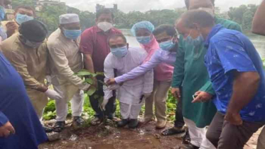 সীতাকুণ্ড উপজেলা আ.লীগের বৃক্ষরোপণ কার্যক্রমের উদ্বোধন