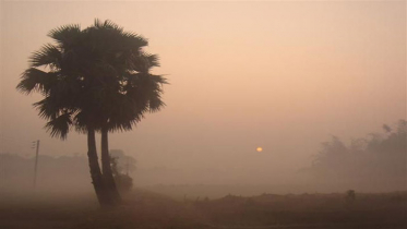 মাঘের মাঝামাঝিতেই শীতের বিদায়