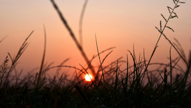 প্রশমিত হতে পারে শৈত্যপ্রবাহ