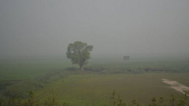 মৃদু শৈত্যপ্রবাহের পূর্বাভাস