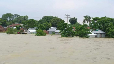 সন্তানকে বাঁচাতে বন্যার পানিতে ঝাঁপ দিলেন দিলেন মা