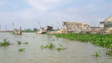 সরাইলে মেঘনার ভাঙনে দিশেহারা শতাধিক পরিবার 
