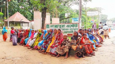 সমঝোতা না হওয়ায় চা শ্রমিকদের ধর্মঘট চলবে