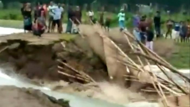 বাঁধ ভেঙ্গে টাঙ্গুয়ার হাওরে ঢুকছে পানি, উদ্বিগ্ন কৃষক