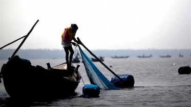 সুন্দরবনে নেটজালসহ ১০ ট্রলার জব্দ