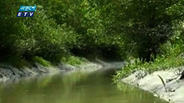 সাত মাস পর কাল থেকে উন্মুক্ত হচ্ছে সুন্দরবন (ভিডিও)