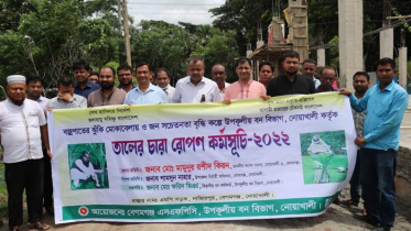 বজ্রপাত প্রতিরোধে নোয়াখালীতে ১০০ তালের চারা রোপন