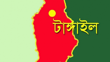 টাঙ্গাইলে পিকআপভ্যান উল্টে নিহত ৩