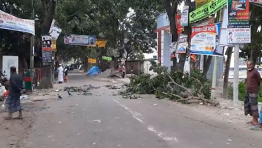 টাঙ্গাইলে গাছের ডাল পড়ে ব্যবসায়ীর মৃত্যু