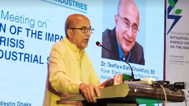 দিনের বেলা বিদ্যুৎ ব্যবহার বন্ধের পক্ষে জ্বালানি উপদেষ্টা