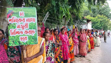 সমঝোতা হয়নি, চা-শ্রমিকদের কর্মবিরতি চলবে