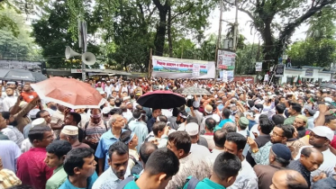 আন্দোলন থেকে সরে এসেছেন শিক্ষকরা, শনিবারও নেবেন ক্লাস