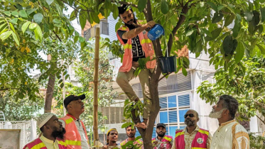 তাপদাহে বিপর্যস্ত পশুপাখির পাশে দাঁড়ালো টিম খোরশেদ